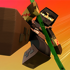 Minecraft Ninja